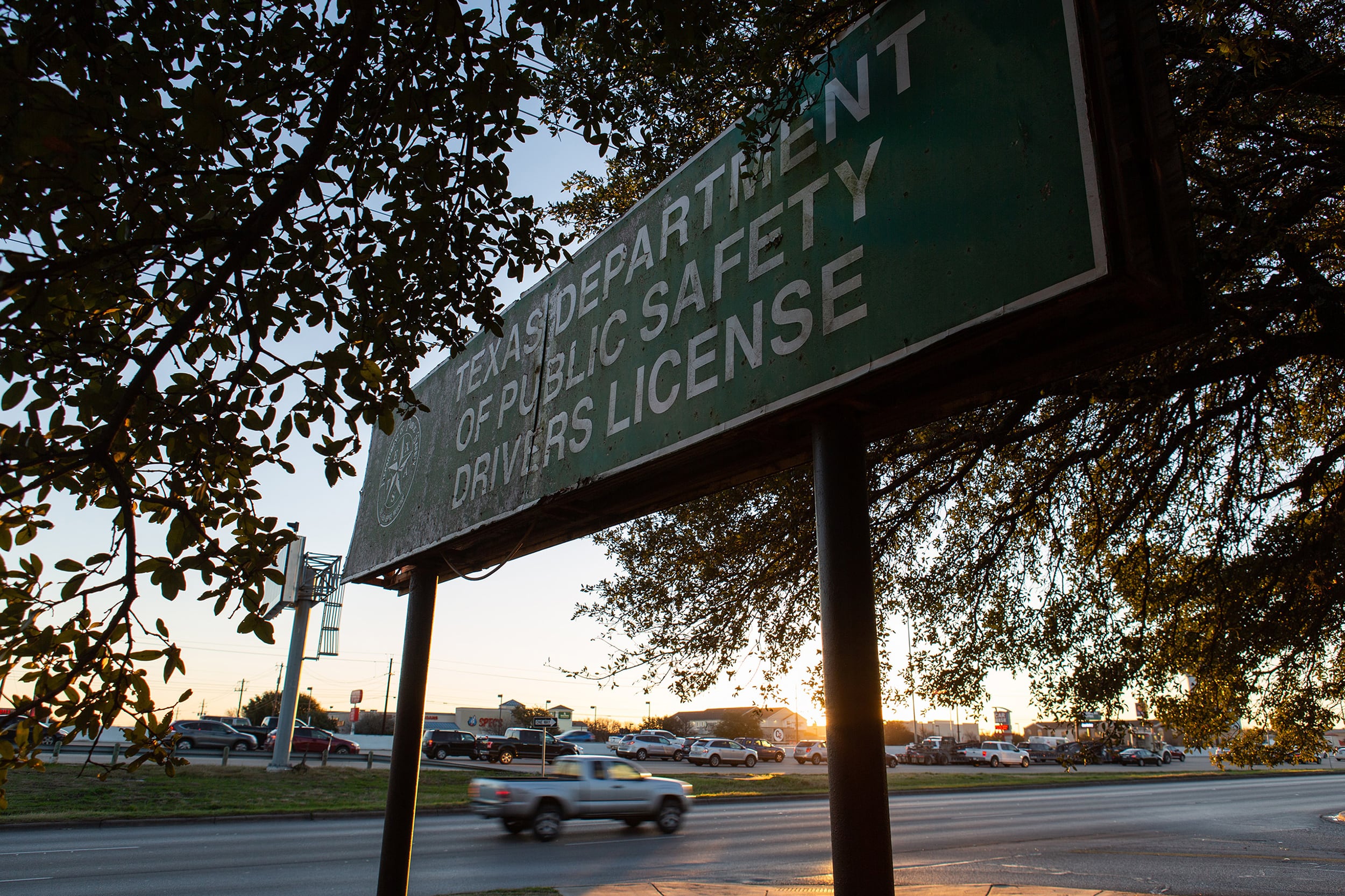 A green sign with white words surrounded by trees and with a car in the background.