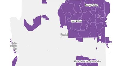 Who are the Arizona voters without proof of citizenship? They may surprise you.
