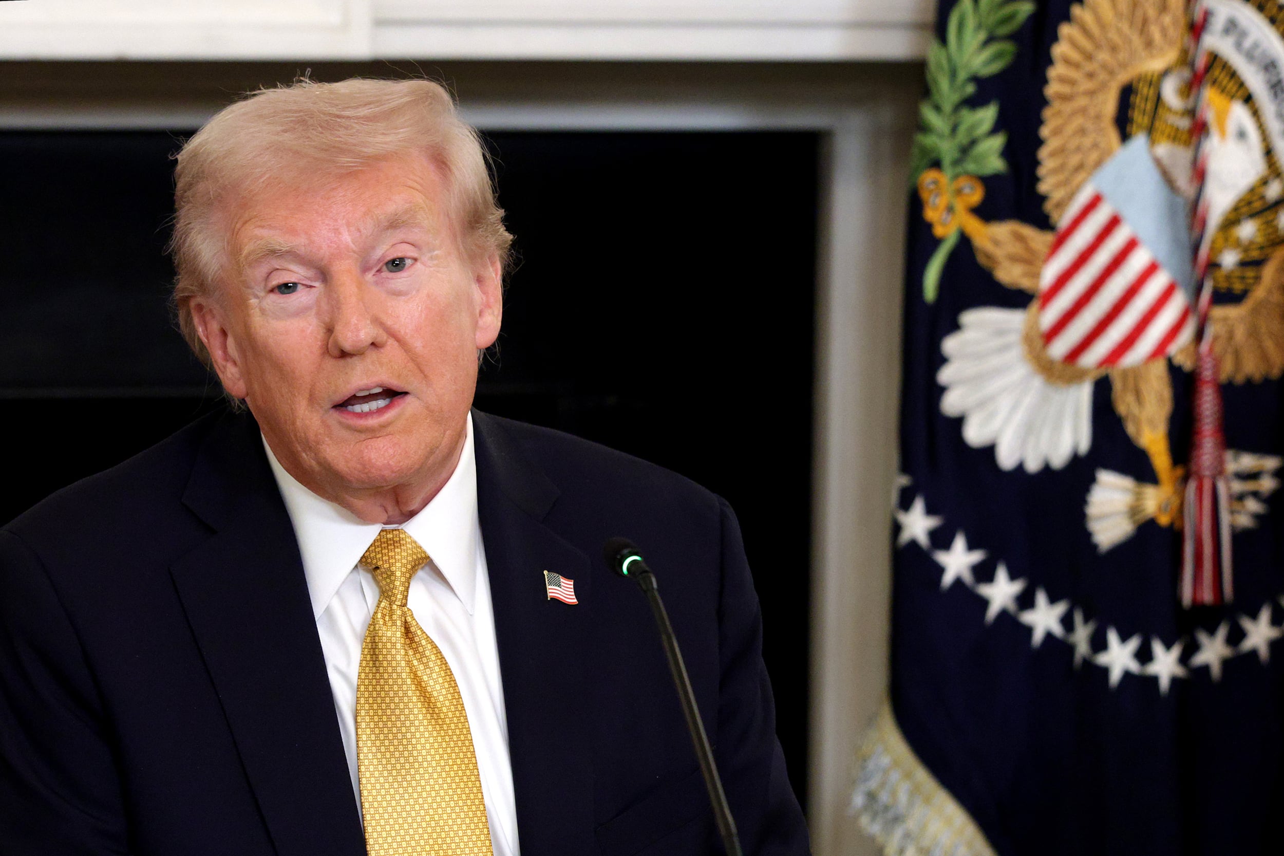 A photograph of President Donald Trump in a suit speaking in front of a flag.