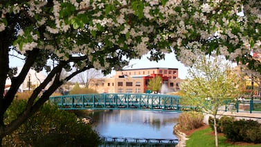 County canvasser in Michigan fends off lawsuit by swearing he’ll certify November election