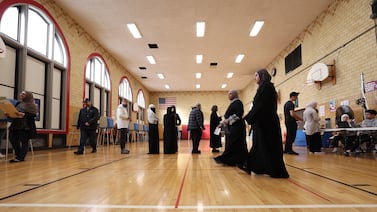 Michigan city will vote on whether to rewrite charter to create council wards