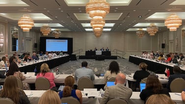 Getting to know the SAVE immigration database as a tool for election officials