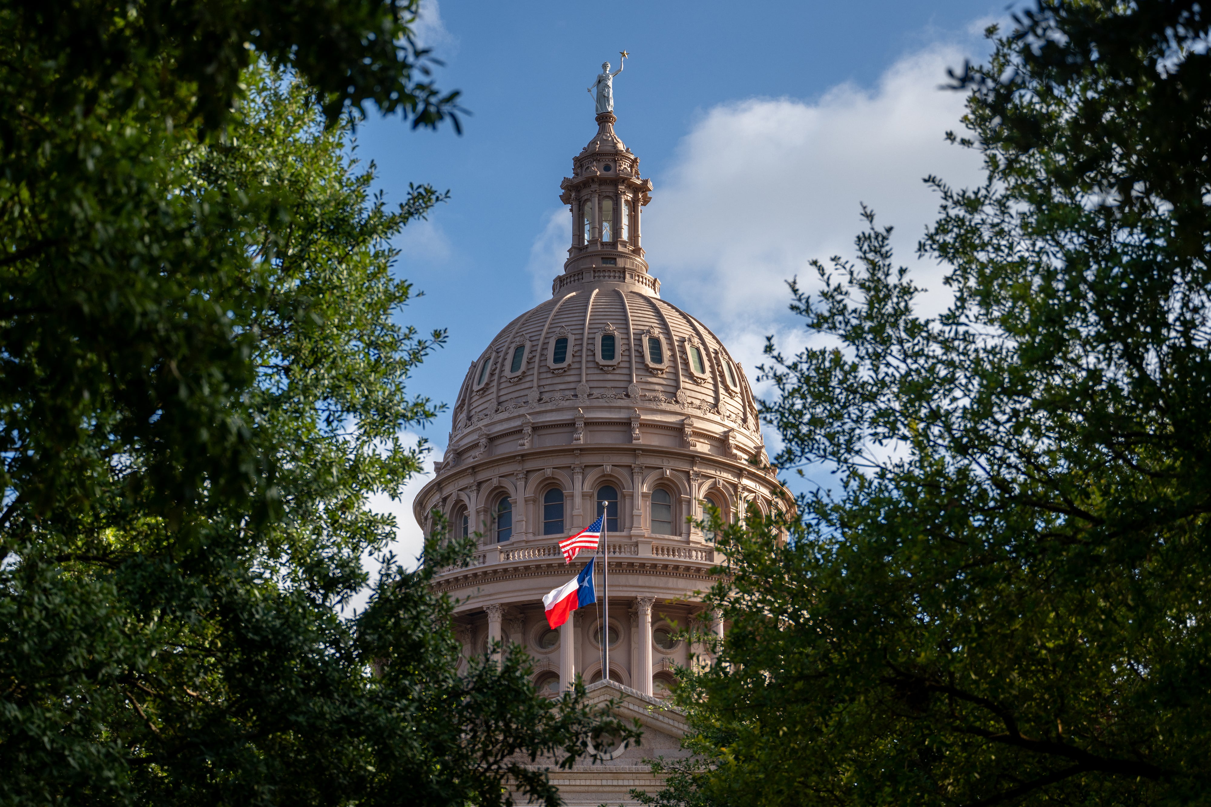 A capitol dome is seen through a window of green trees.