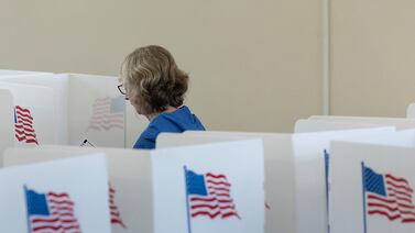 Why some Michigan voters jumped on the chance to vote early in-person, while others passed