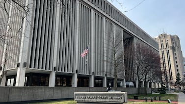 Michigan man pleads guilty in 2024 double-voting case