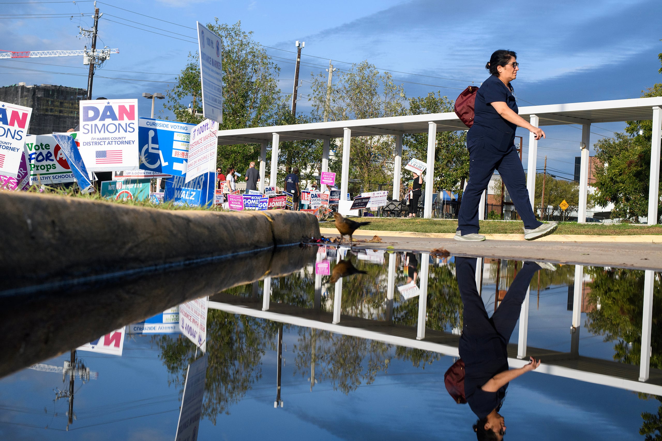 A photograph of a person with a backpack walks passed a puddle of water and a row of election campaign signs.