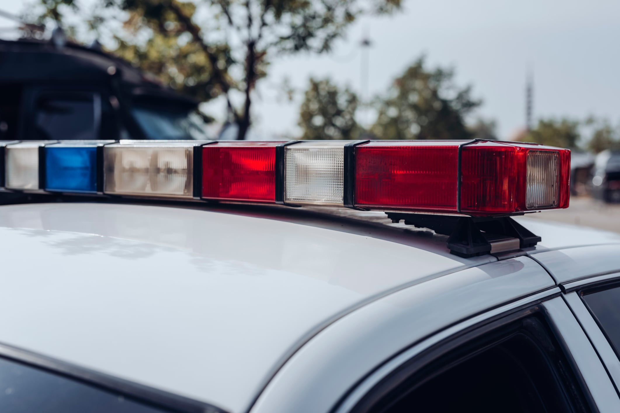 Emergency lights on a US police car with trees in the background.